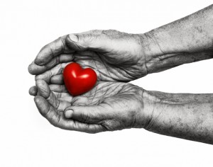 elderly woman keeping red heart in her palms isolated on white background, symbol of care and love